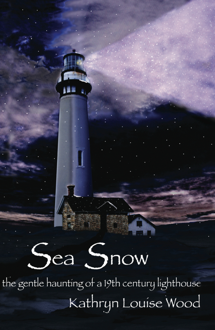 SeaSnowCover jpeg