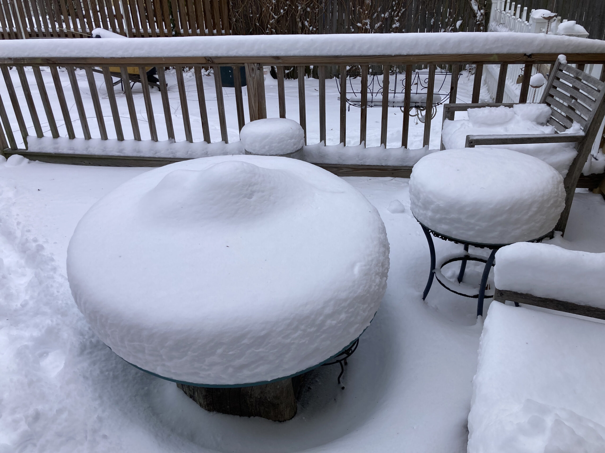 snowy deck 2026