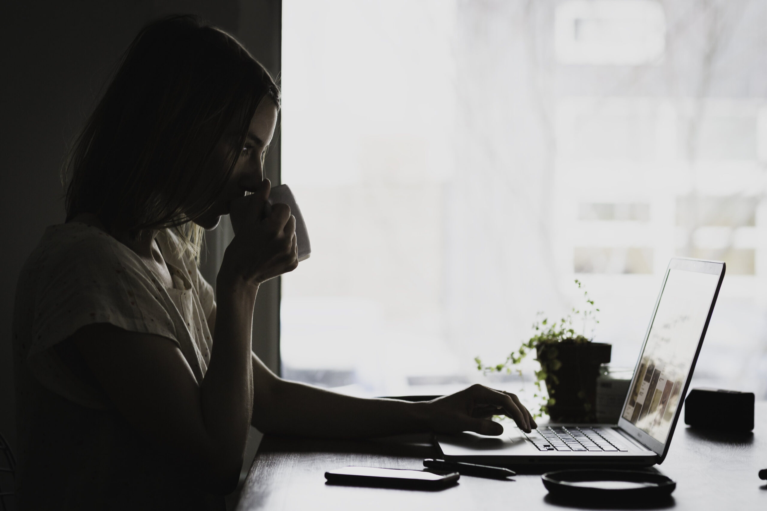 woman at laptop pixabay